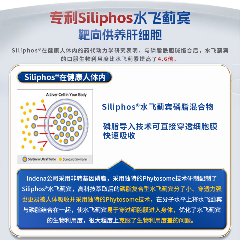 沿寿高浓度水飞蓟宾护奶蓟草肝脏片熬夜加班素胶囊官方进口保健品