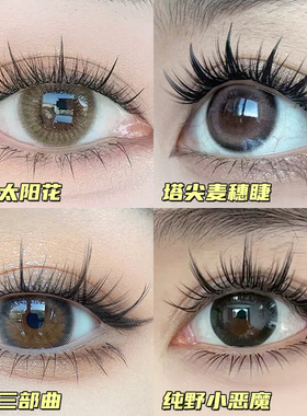 大容量懒人太阳花假睫毛书单簇