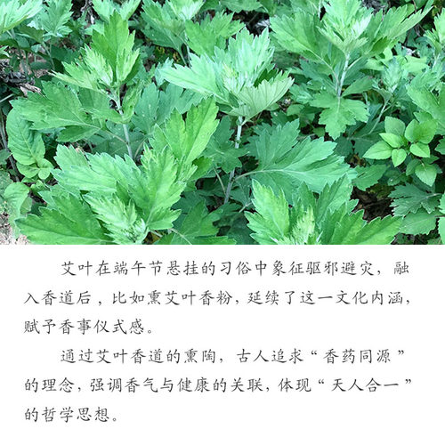 天然艾叶粉三年陈艾草粉除秽净化空气泡脚制香薰香珠香牌粉香包囊 - 图3