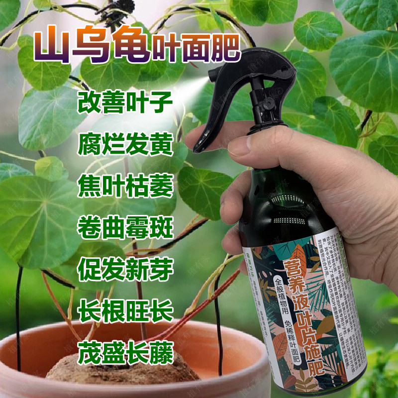 山乌龟专用肥料促进长叶发芽冒芽生根爬藤营养液盆栽绿施叶面肥料,淘宝优惠券,粉丝福利购,淘宝优惠卷