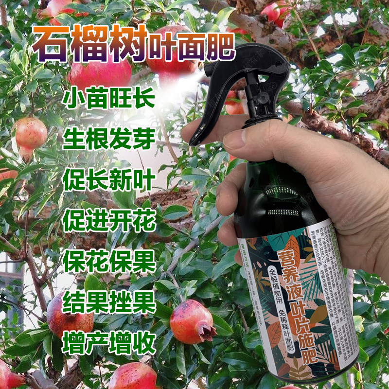 石榴树专用肥料庭院大树盆栽种树苗老桩盆景营养液土培水溶化肥料,淘宝优惠券,粉丝福利购,淘宝优惠卷