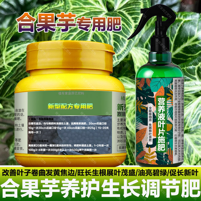 合果芋专用肥料绿植营养液叶子卷曲发黄倒伏焦边发软腐烂叶面肥料,淘宝优惠券,粉丝福利购,淘宝优惠卷