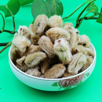 辛夷花茶正宗新疆大漠植物160g 80g 2罐装和田白玉兰花茶自然风干 虎窝淘
