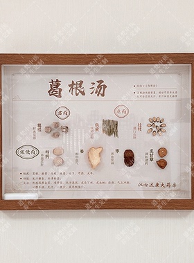 挂画标本中草药成品背景中医养生