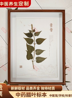 中草药腊叶干制标本教学定制