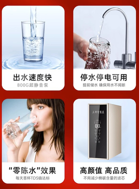 王牌净水器家用直饮机800G大水量净水机RO反渗透厨房自来水过滤器