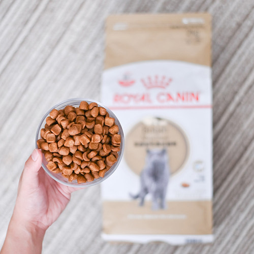 法国皇家猫粮Bs34英短专用猫粮宠物蓝猫英国短毛猫成猫主粮2KG - 图2