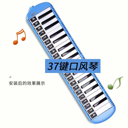 口风琴37键贴纸32键盘贴数字贴36键41键奇美天鹅嘉德瑞通用音标帖 - 图2