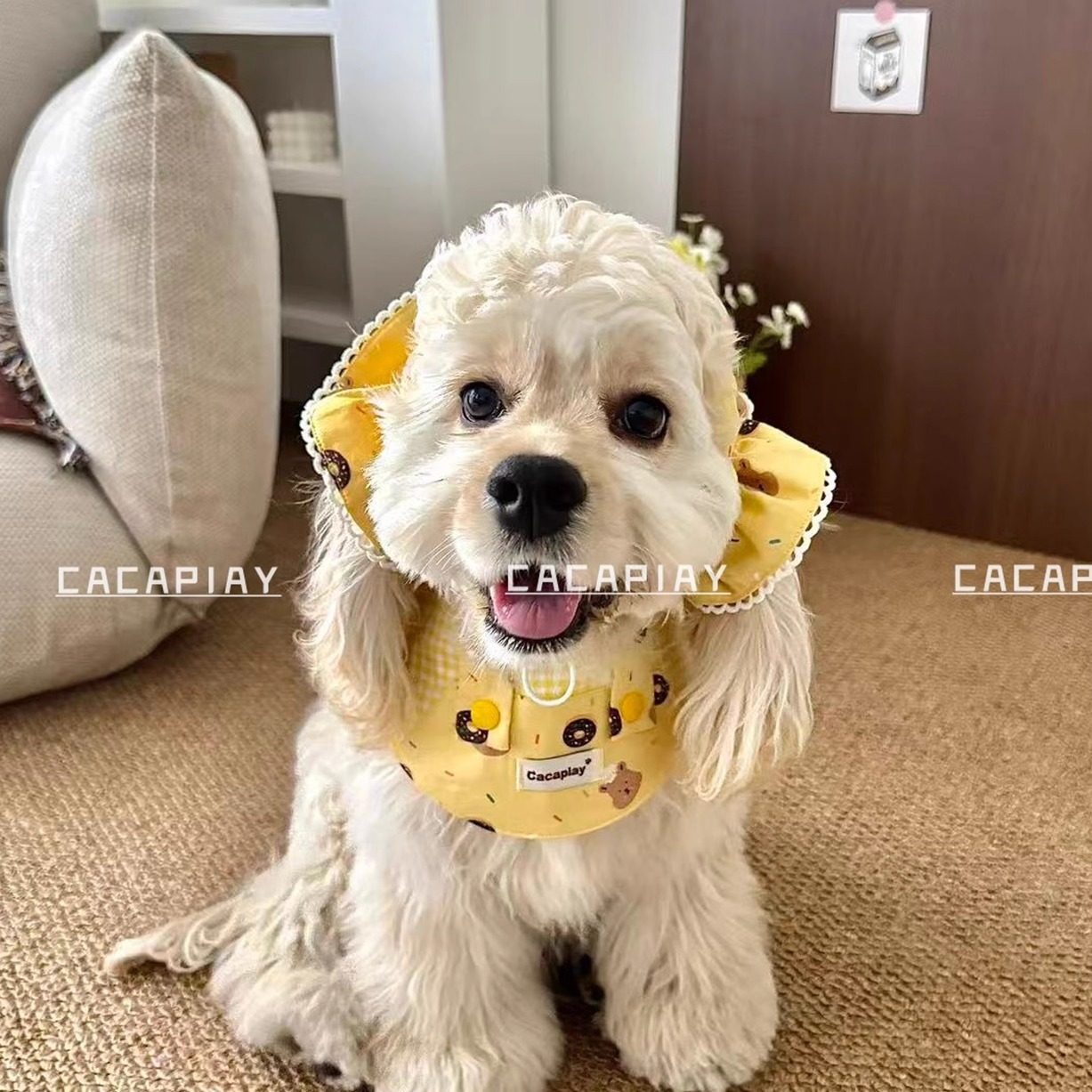 新品【甜甜圈小熊】美卡狗狗耳花防脏耳套口水巾可卡可卡布查理王,淘宝优惠券,粉丝福利购,淘宝优惠卷