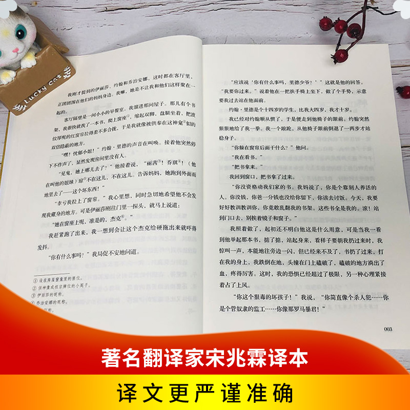 正版书籍 简爱 世界文学名著 名家名译名师导读版中小学生课外阅读书籍中小学教辅书籍青少年儿童读物故事书世界文学书籍世界名著