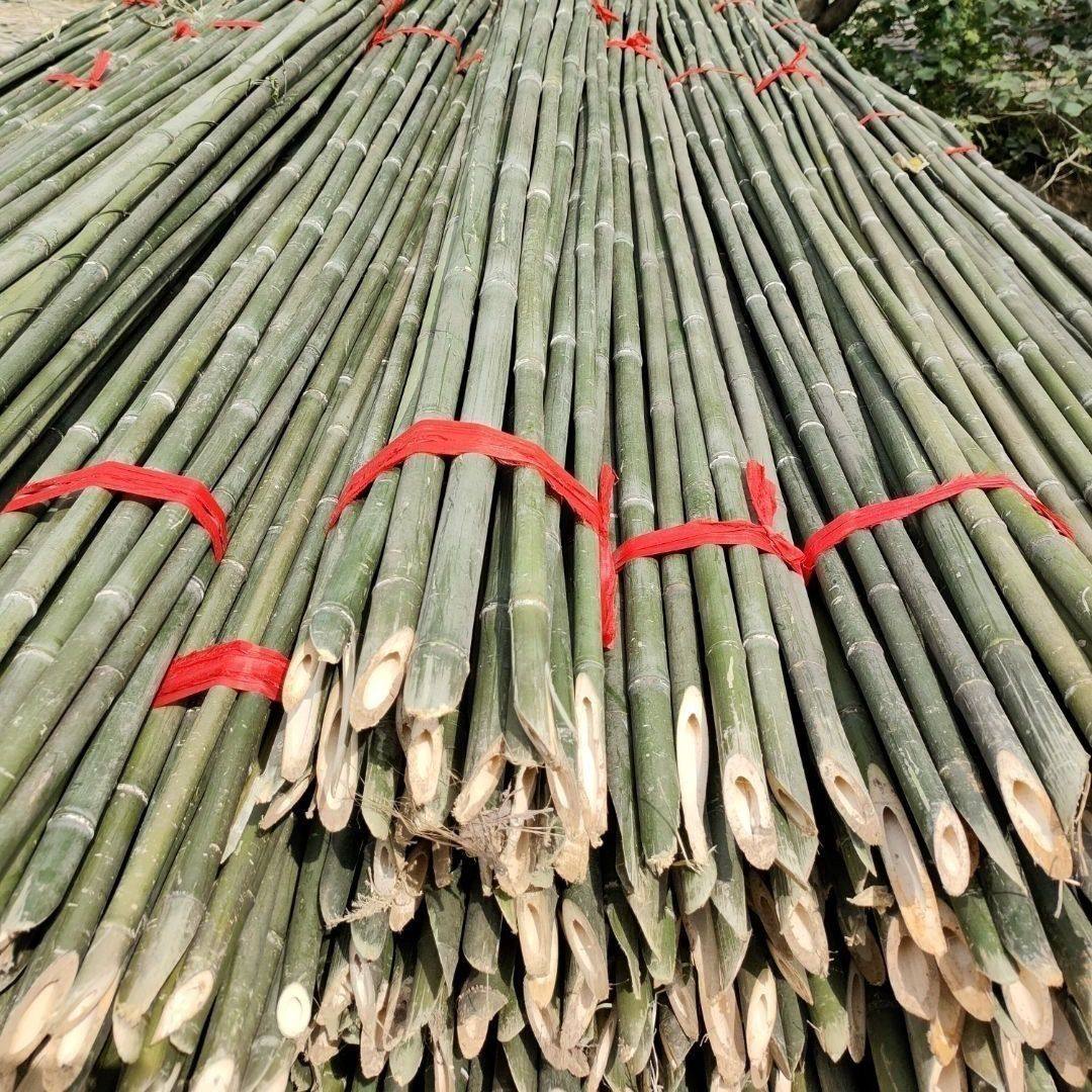 竹竿批发竹竿搭架菜园竹竿豆角架黄瓜架西红柿番茄架爬藤竹竿旗杆,淘宝优惠券,粉丝福利购,淘宝优惠卷