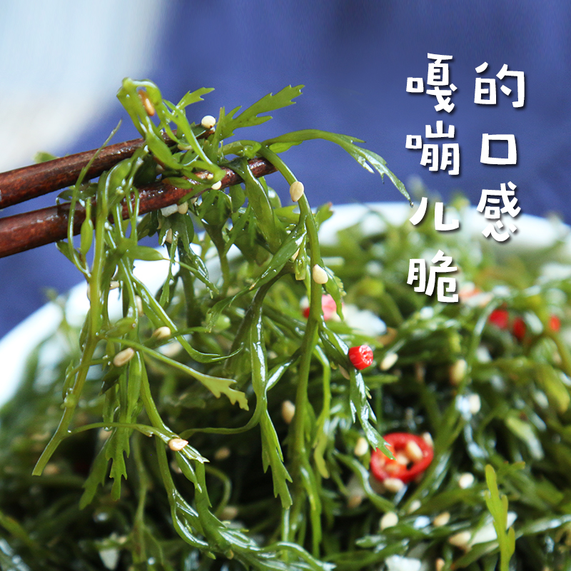 新鲜马尾藻10斤整箱盐渍鞭炮笋长寿菜涮火锅食材羊栖菜海草火炮菜-图1