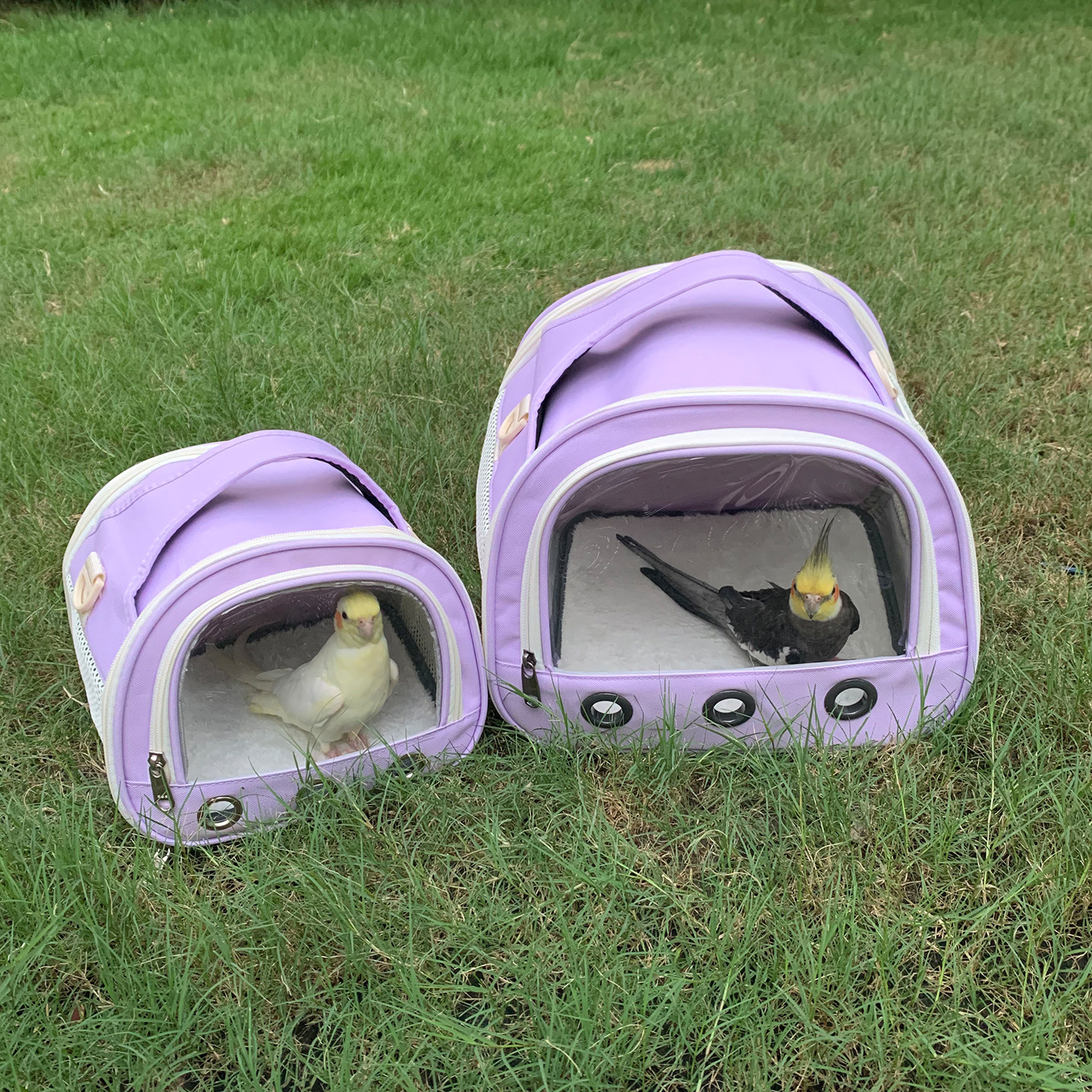 鹦鹉外出包便携鸟包手提斜挎外带鸟笼和尚玄凤牡丹虎皮小太阳兔子,淘宝优惠券,粉丝福利购,淘宝优惠卷