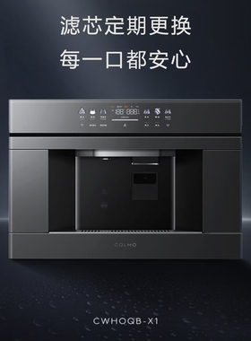 COLMO/X1/X11/X2/FCB原装MPC滤芯