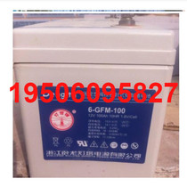 12V100AH lighthouse storage battery 6GFM-100 machine room base station UPS EPS DC screen equipment