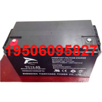 Sky Brisk Accumulators TC12-65 Agent Offer 12V65 Precision Instruments UPS Systems