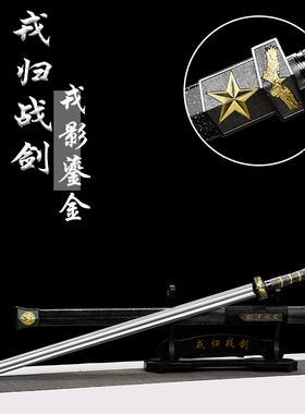 龙泉戎归战之剑汉剑一体龙骨花纹退伍纪念送战友定制礼品未开刃