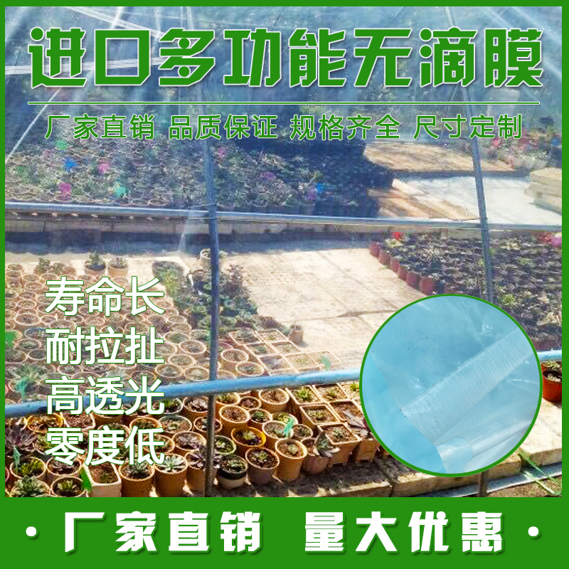 进口抗老化淡蓝色种植大棚无滴膜防雨防尘保温塑料布加厚塑料薄膜 - 图1