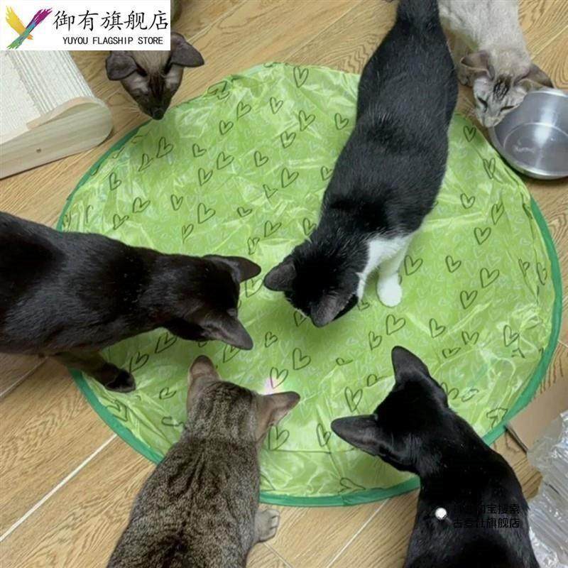 猫咪捕猎毯玩具自动逗猫玩具电动自嗨解闷游戏罩神器宠物消耗体力,淘宝优惠券,粉丝福利购,淘宝优惠卷