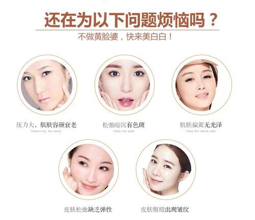 三白粉500克送套装工具 中药材超细粉 白芍白茯苓白术粉磨粉 - 图2
