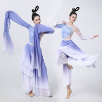 Rippling if the water is in the same style as a female adult Classical Dance Flutter China Feng Shui Sleeve Arts and Dance Costume Group Dance