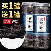 Medium Purple Suye Medicine 250g Purple Suleaf Fresh Edible Purple Suyegan Dried Purple Chinese Herbal Medicine Bubble non-footed soda leaf powder