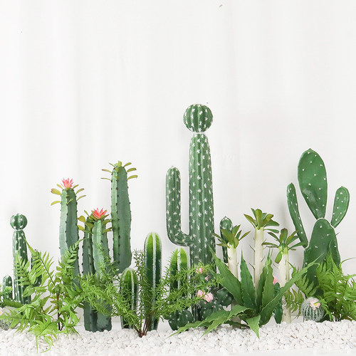 仿真多肉植物仙人掌仙人球热带绿植橱窗装饰造景摆件北欧ins假花 - 图0