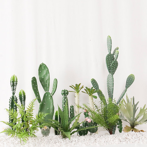 仿真多肉植物仙人掌仙人球热带绿植橱窗装饰造景摆件北欧ins假花 - 图1