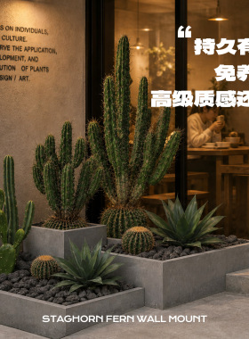 大型仿真仙人掌盆景多叉多杆盆栽