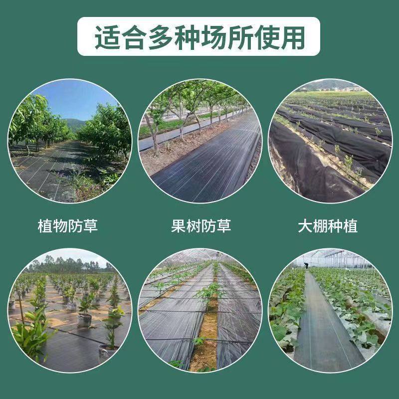 零裁防草布除草布加厚抗老化果园蔬菜种植遮草布透气透水盖草布,淘宝优惠券,粉丝福利购,淘宝优惠卷