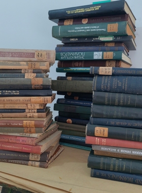 ins浅色旧书摆件外文英文古董书复古书装饰真书样板间拍摄道具