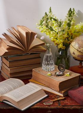 ins浅色旧书摆件英文样板间复古