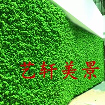 Imported natural evergreen moss Wing raw moss wall making installation Design Refreshing Green Background Wall Engineering Wall