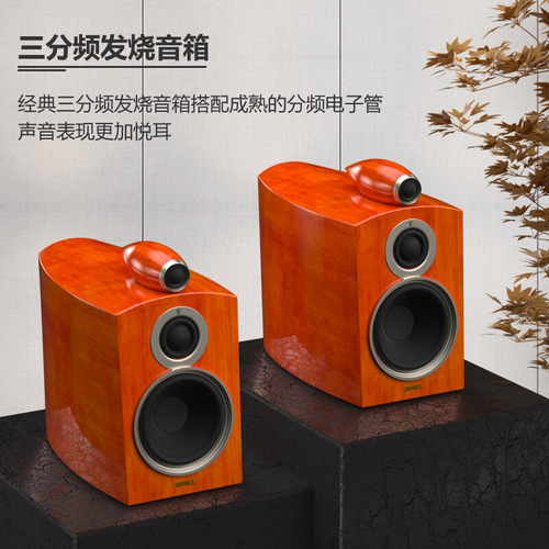 AVANCE丹麦皇冠 AW170 音响音箱hifi胆机组合套装电子管发烧音箱 - 图1