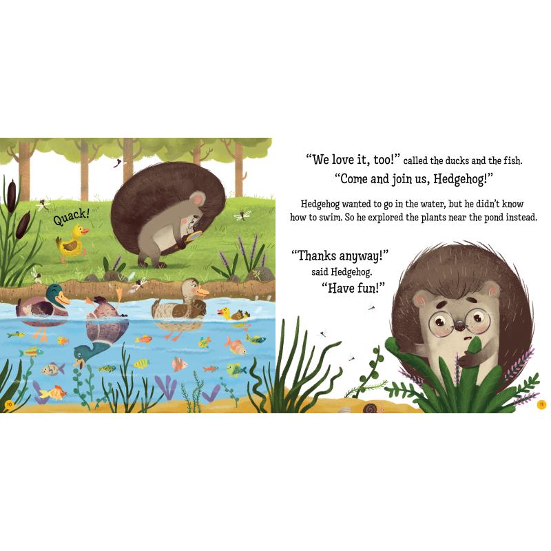 刺猬的春夏秋冬儿童绘本4册套装 Hedgehogs Home for Spring Summer Fall Winter 大自然森林动植物四季 英文原版 大音 - 图3