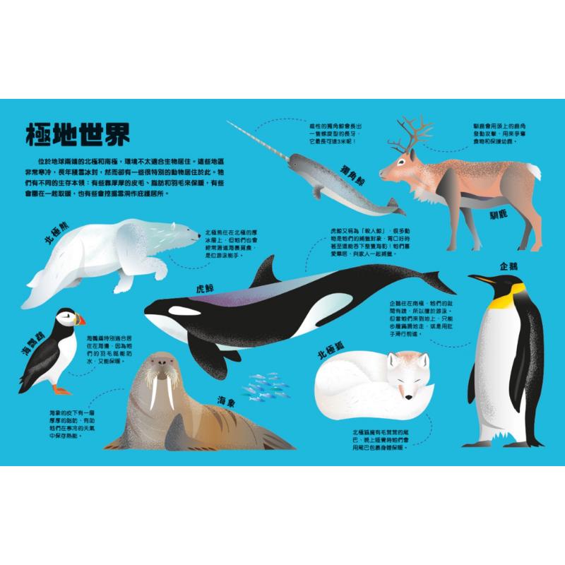 科普手电筒翻翻书 野生动物在哪儿 港台原版 亲子绘本 认知识物 知识百科图画书 精品童书儿童读物 新雅文化出版 大音