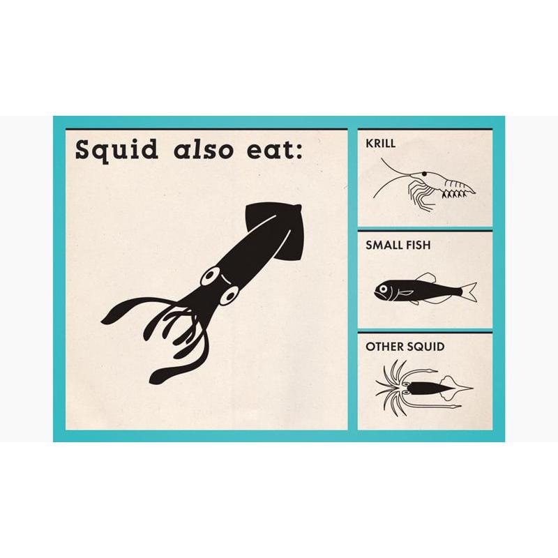 Sarah Hutt:Animals Are Delicious 美味的食物链儿童绘本英文原版