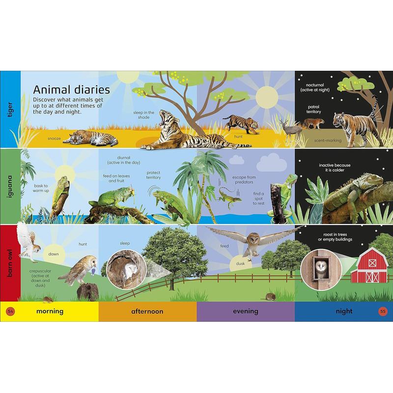 DK 1000个动物词 DK 1000 Animal Words 英文原版 儿童图解词典 单词学习图画书 精装进口童书 5-7岁 语言词汇书 大音