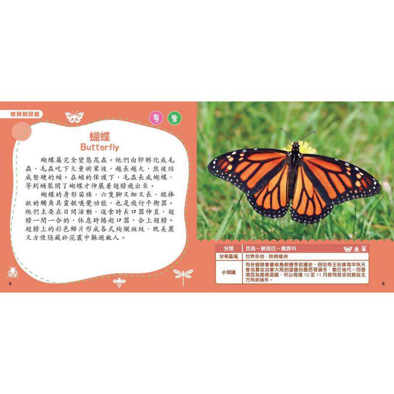 新雅点读乐园 小百科图鉴系列5册 动物 交通工具 地球 昆虫 蔬菜水果 儿童早教科普绘本 认知识物图画书 港台原版 大音