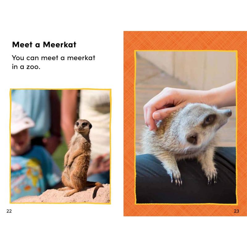 Reading Gems Fact Finders宝石百科小读本1级6册动物科普 Sloths Meerkats Koalas Flamingos Llamas Narwhals大音-图3
