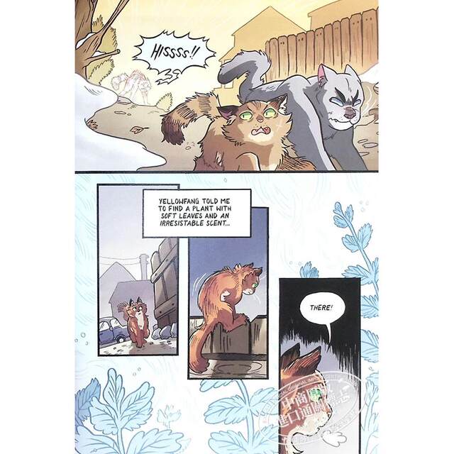 Warriors cat warrior series English books