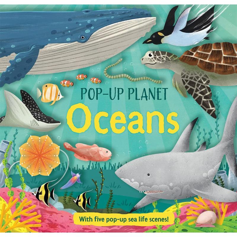 Pop-Up Planet: Oceans 立体星球：海洋 英文原版 进口图书 儿童科普绘本 知识百科图书 立体书 活动与玩具书 大音 - 图3