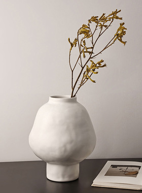 SHPIN BHM法式陶瓷花瓶玄关水培插花中古风家居开运大肚福罐花器