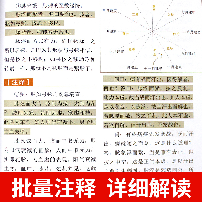 2册 伤寒论张仲景正版 金匮要略 中医入门零基础学 中医四大经典名著 医学类全书书伤寒杂病论伤感白话解原版全套李时珍 - 图2