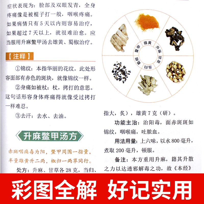 2册 伤寒论张仲景正版 金匮要略 中医入门零基础学 中医四大经典名著 医学类全书书伤寒杂病论伤感白话解原版全套李时珍 - 图3