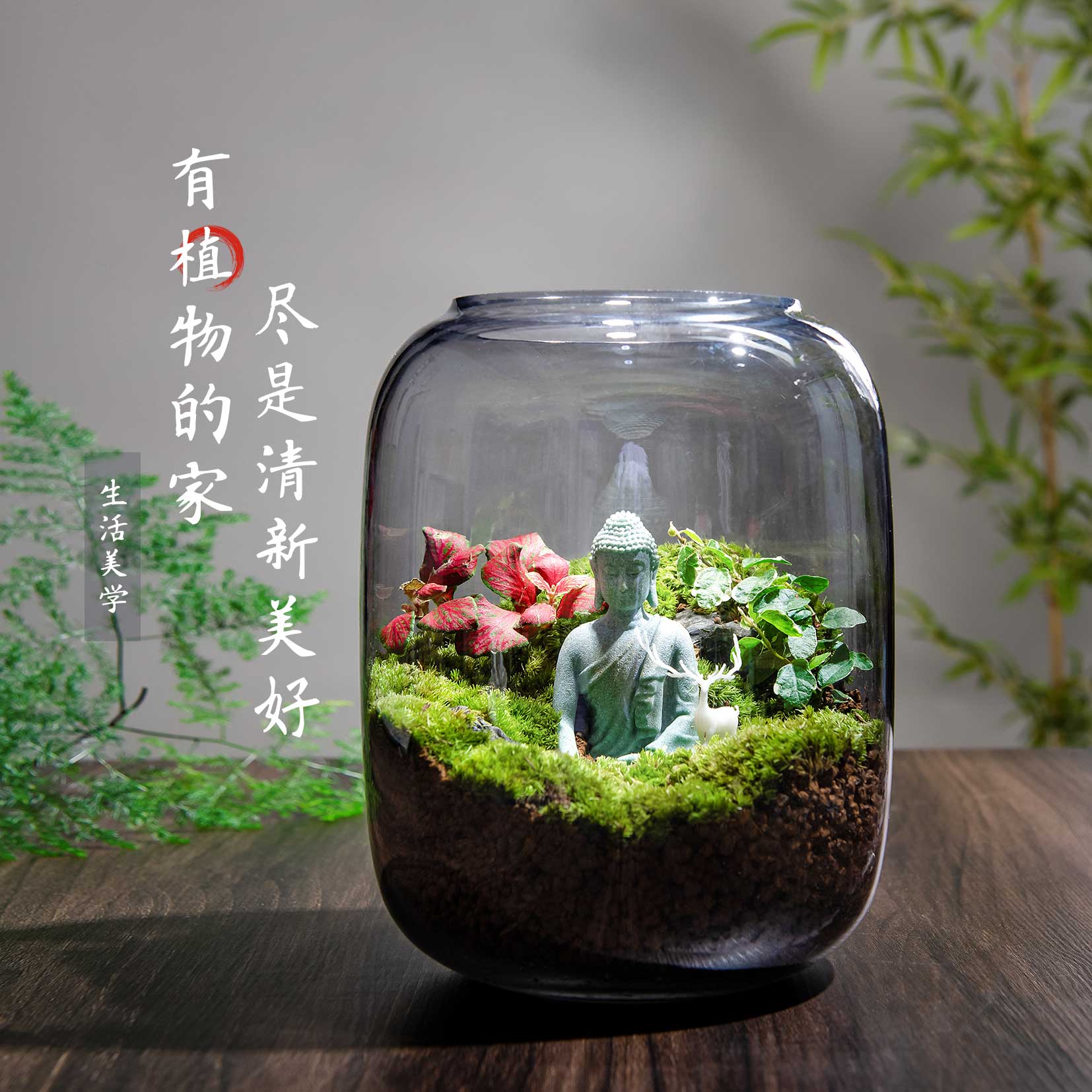 生命之树生态瓶苔藓创意微景观桌面盆栽青苔造景缸植物办公室绿植 - 图1