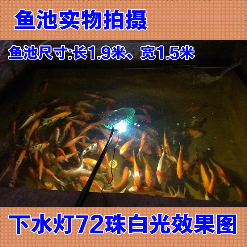 12v下水灯LED防水灯DC头圆头接口强光诱鱼水下灯集鱼养殖鱼苗捕鱼