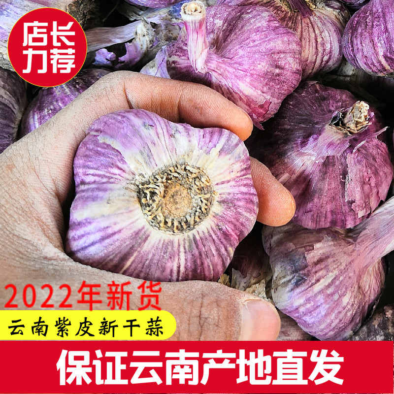 2022年云南大理紫皮干大蒜头5斤特级中大果红多瓣炒菜食用农产品
