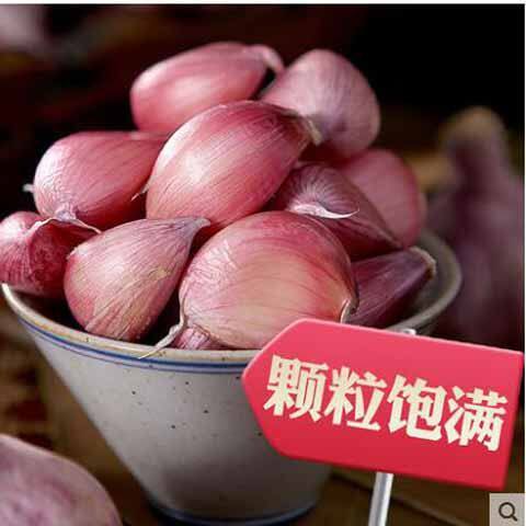 2022年云南大理紫皮5斤干蒜瓣食用大蒜头种子优质农产品土蒜红皮