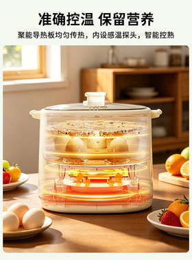 煮蛋器小型蒸蛋预约定时多功能
